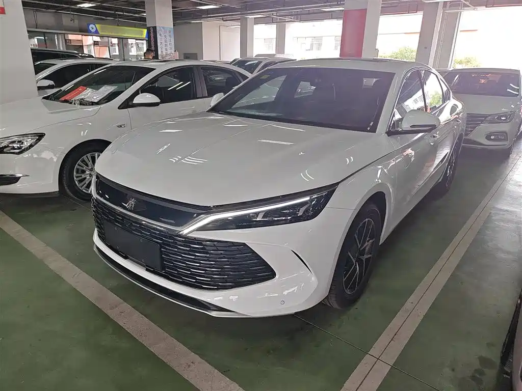 BYD QIN L