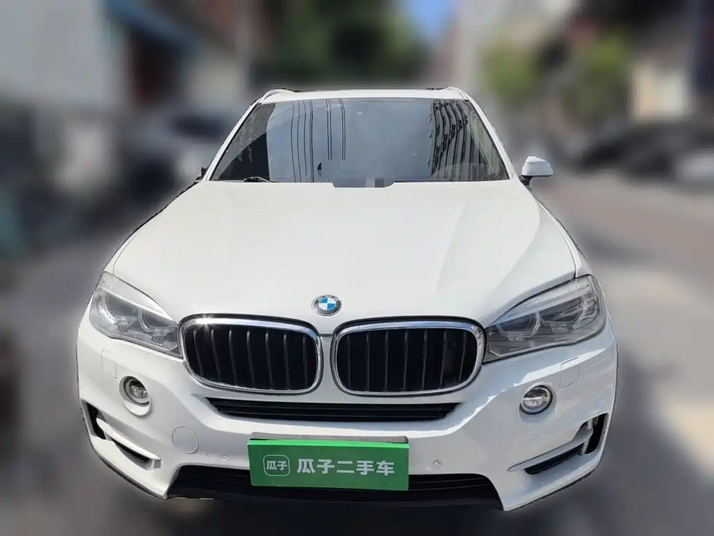 BMW X5 (Import) — миниатюра 2