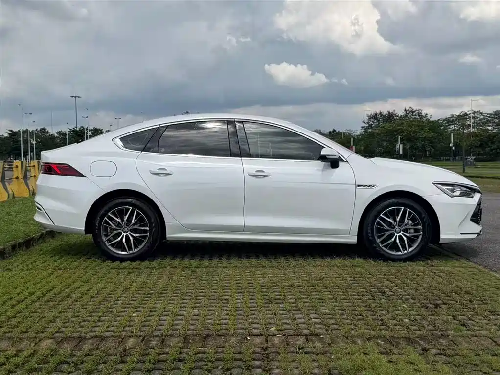 BYD Qin Plus PLUS 2024 DM-i 120KM Lead