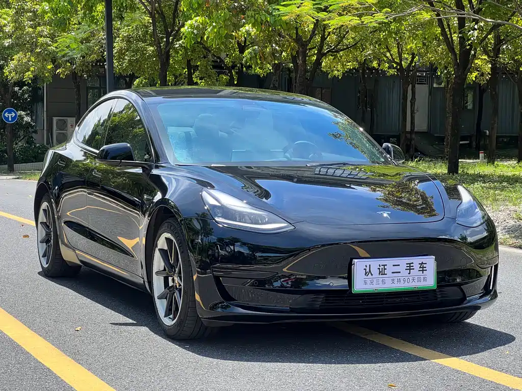 Tesla Model 3 2021 3D1