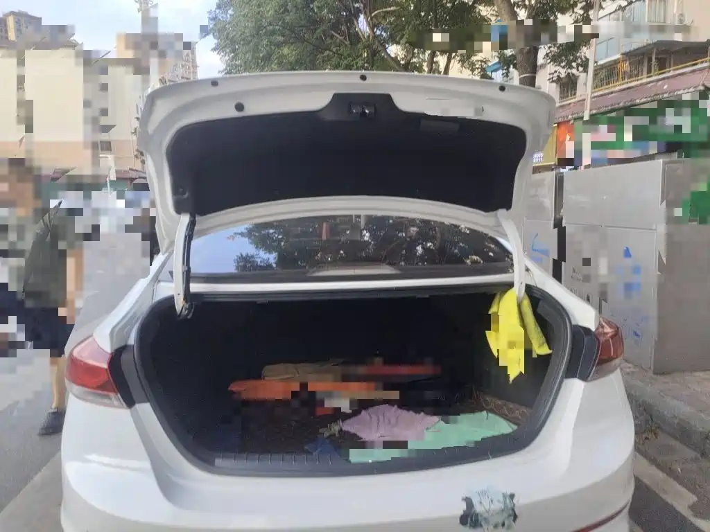 Hyundai Elantra — миниатюра 15