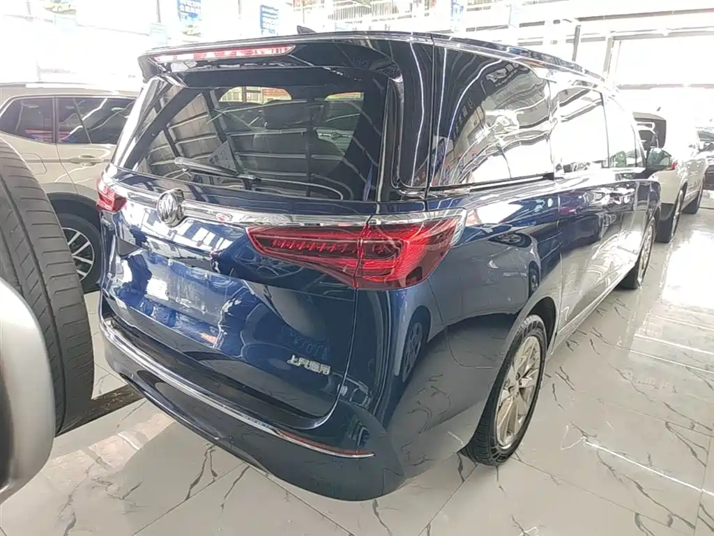 Buick GL8 2020 Avenir мест