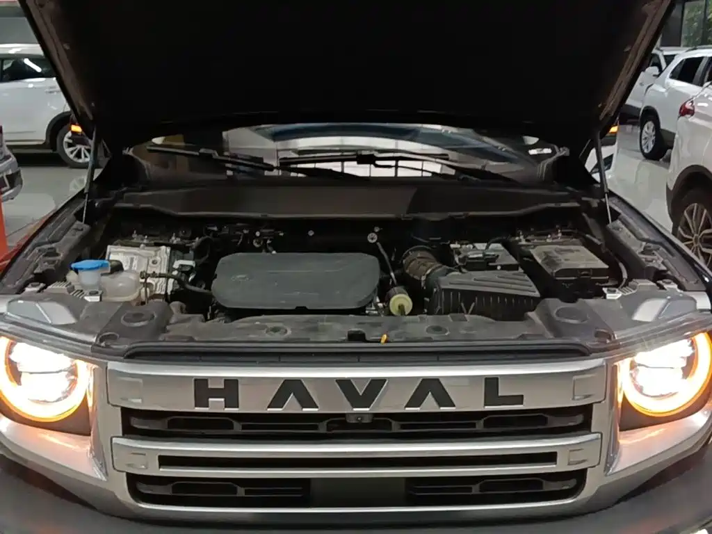 Haval Big Dog — миниатюра 20