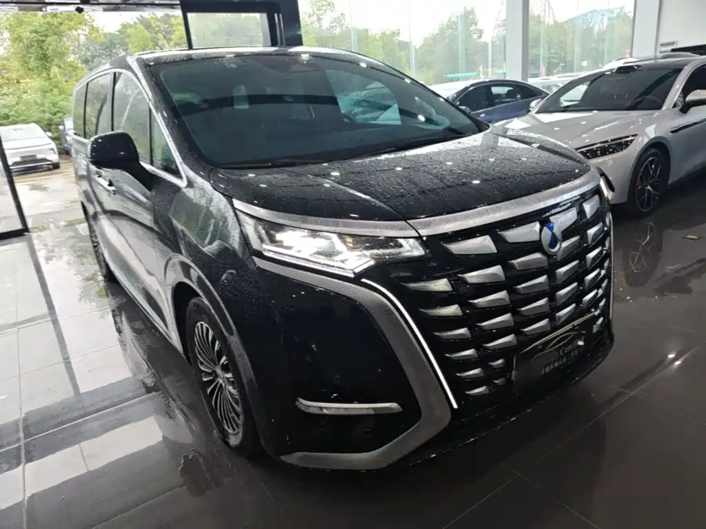 Denza Denza D9 — миниатюра 4