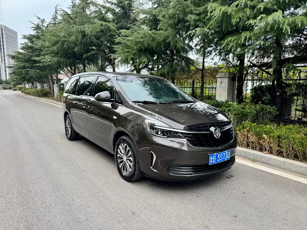 Buick GL8 — миниатюра 6