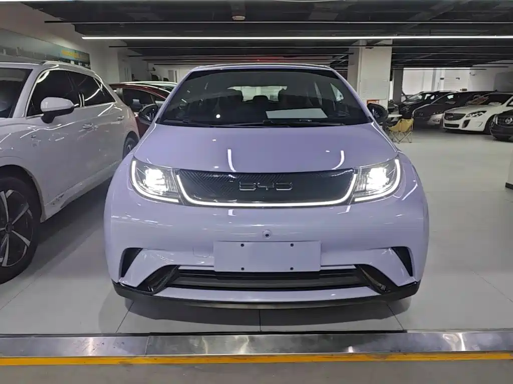 BYD Dolphin — миниатюра 3