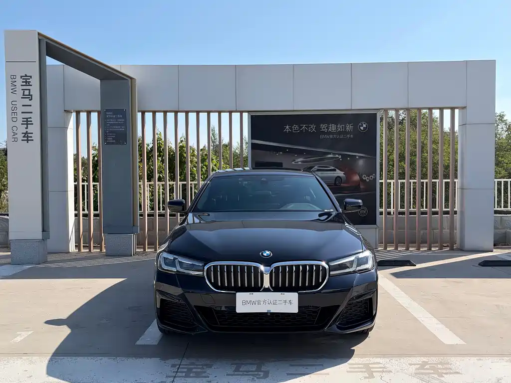 BMW 5 Series — миниатюра 2