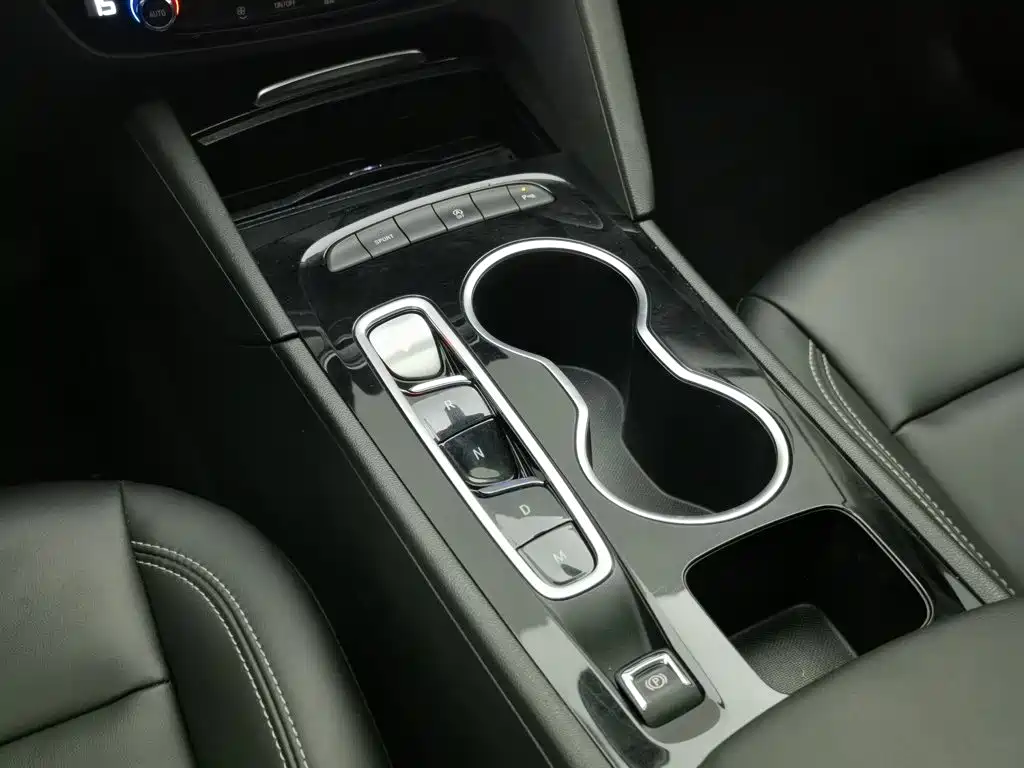Buick Regal — миниатюра 13