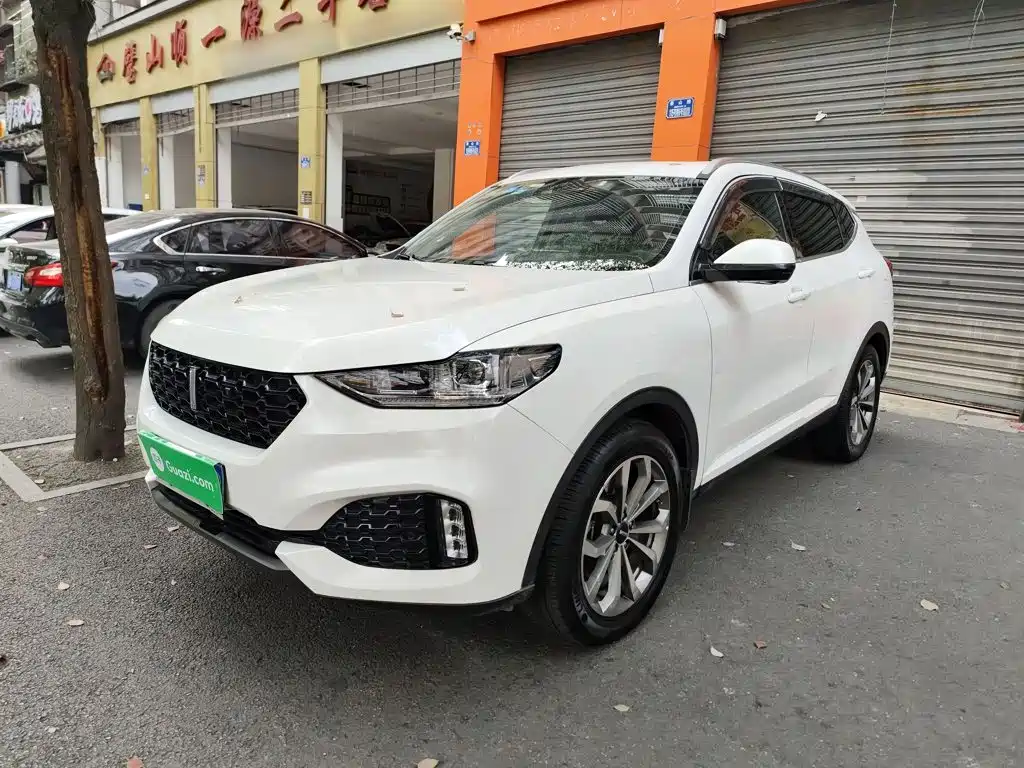 2019 Wey VV6 - zdjęcie 1 z 25