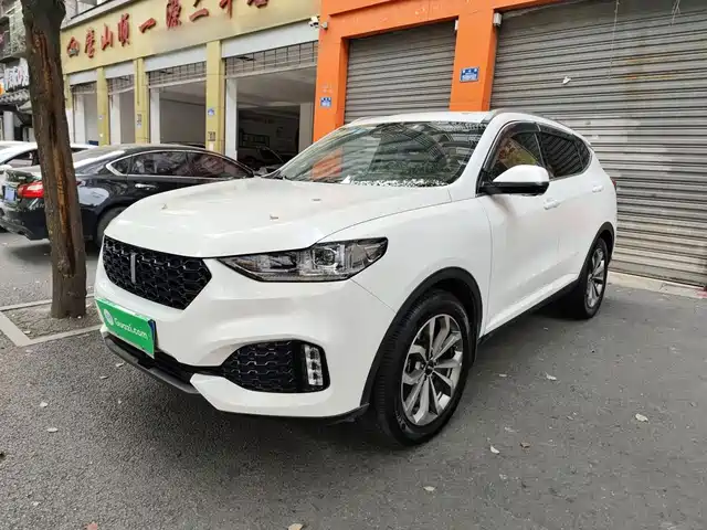 2019 Wey VV6