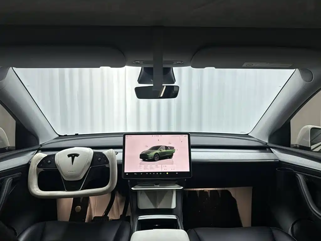 Tesla Model Y — миниатюра 5