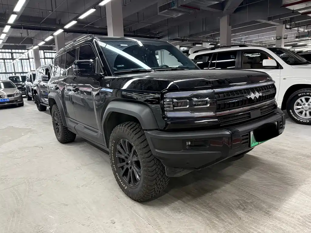 FANG CHENG BAO LEOPARD 5