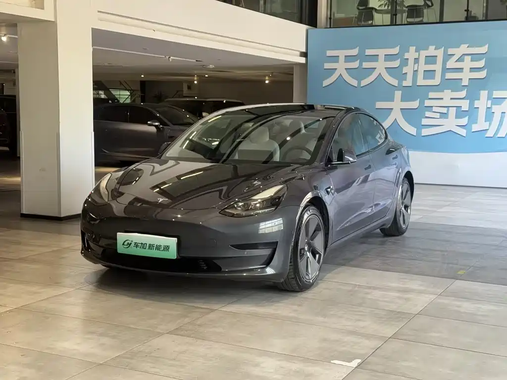 Tesla Model 3 2021