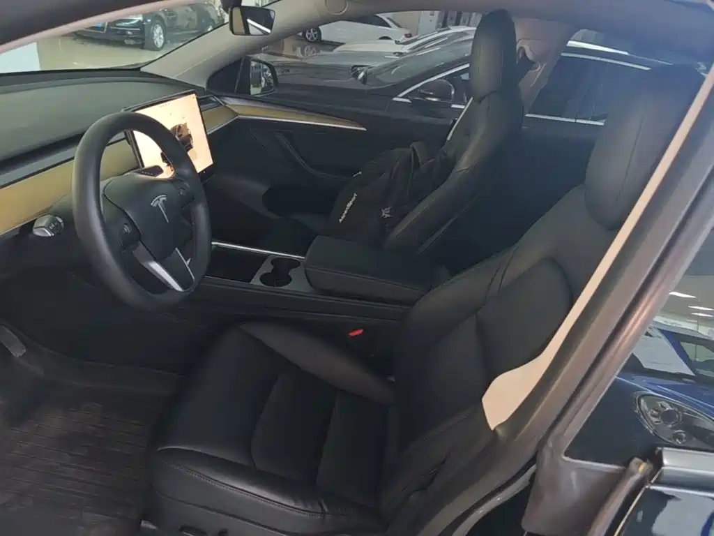 Tesla Model Y — миниатюра 15