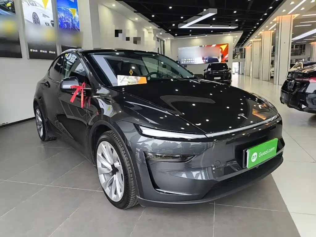 Tesla Model Y — миниатюра 4