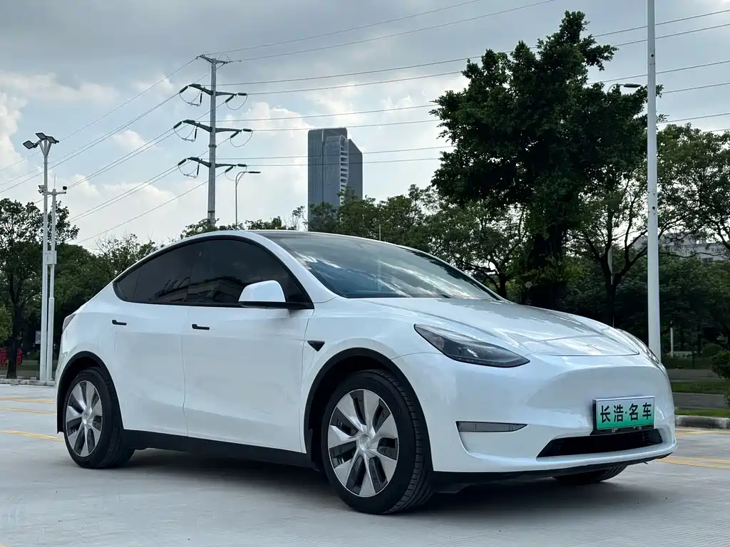 Tesla Model Y — миниатюра 3