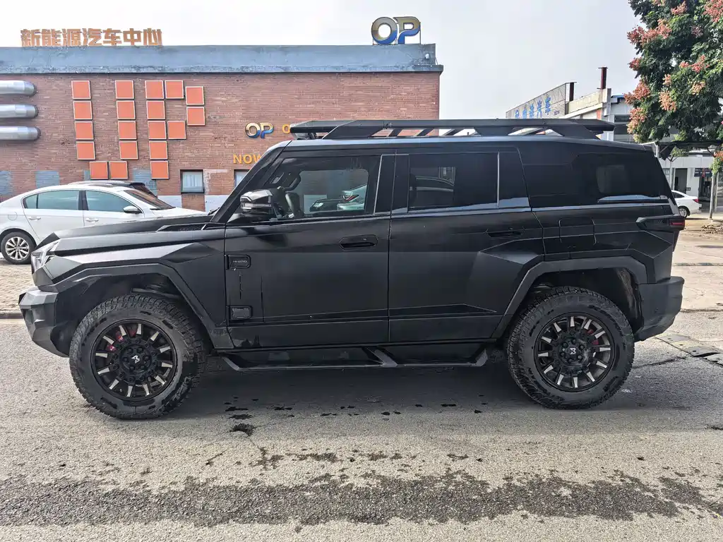 Mengshi Mengshi 917 — миниатюра 6
