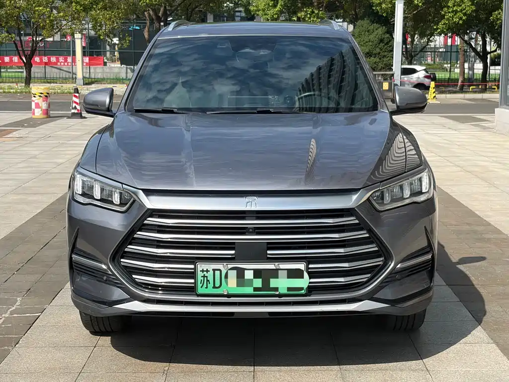 BYD Pro New Energy — миниатюра 2
