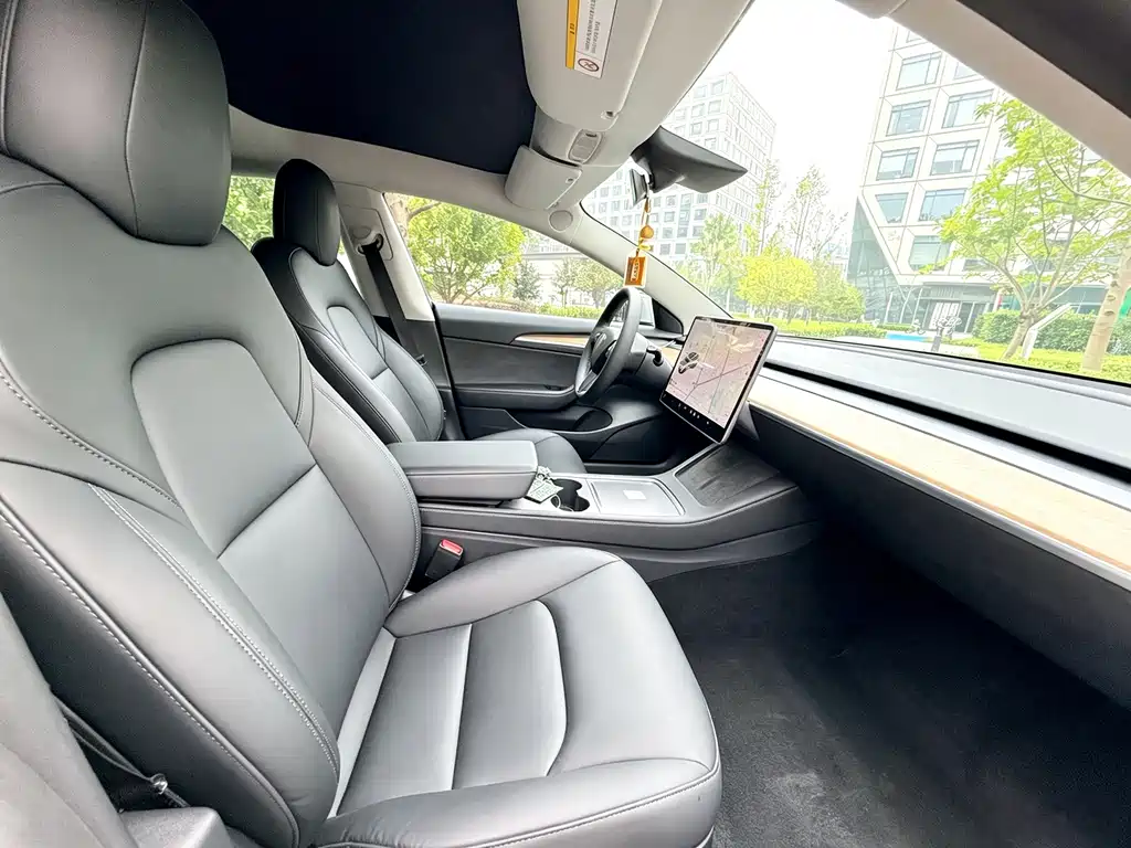 Tesla Model 3 — миниатюра 7