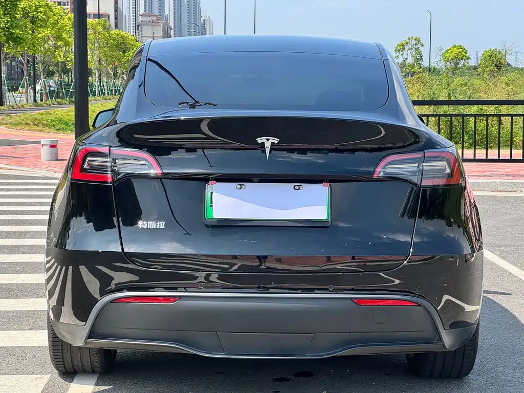 Tesla Model Y — миниатюра 10