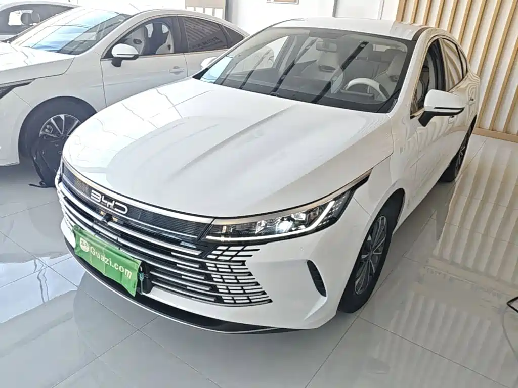 BYD Destroyer 05