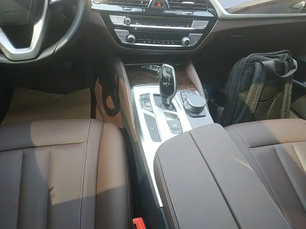 BMW 5 Series 5 2020 525Li Luxury