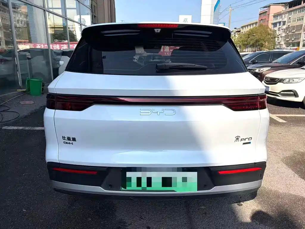 BYD SONGJIANG NEW ENERGY