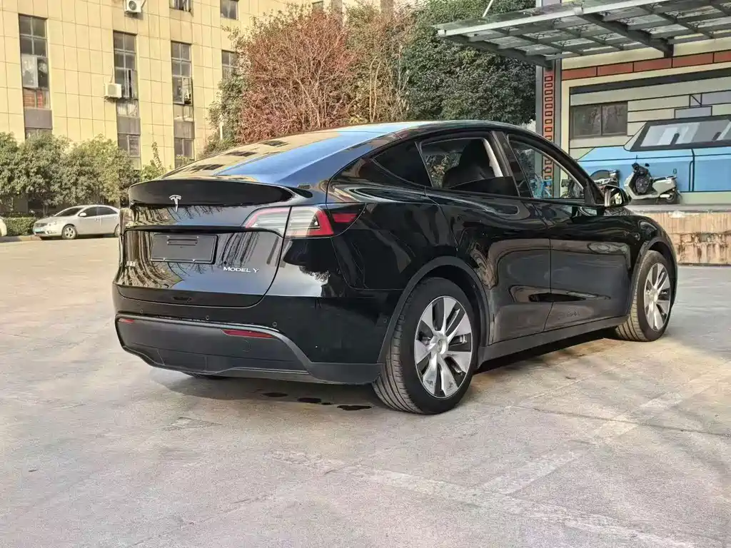 Tesla Model Y — миниатюра 7