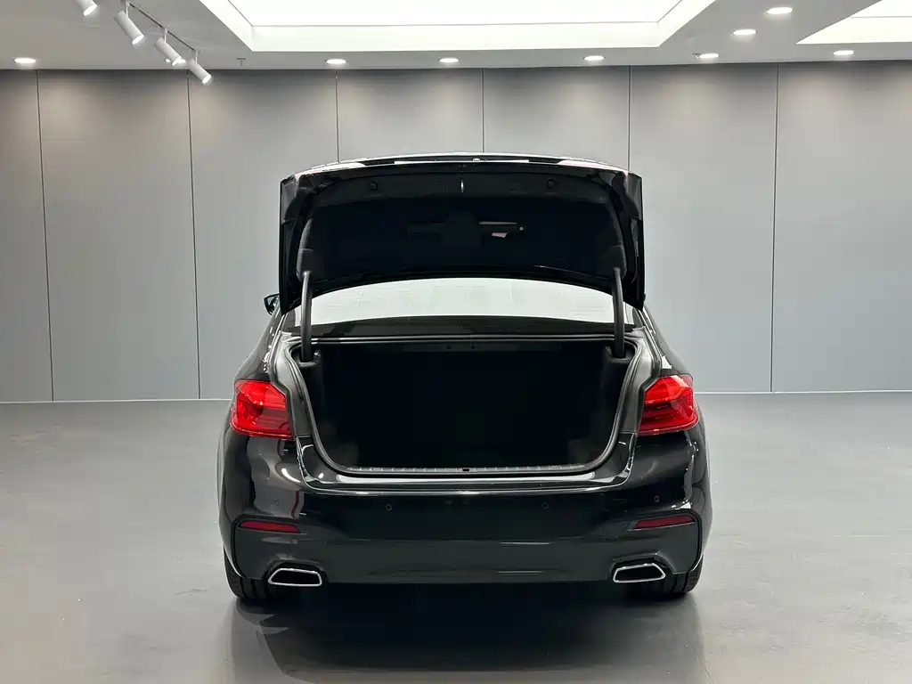 BMW 5 Series — миниатюра 28