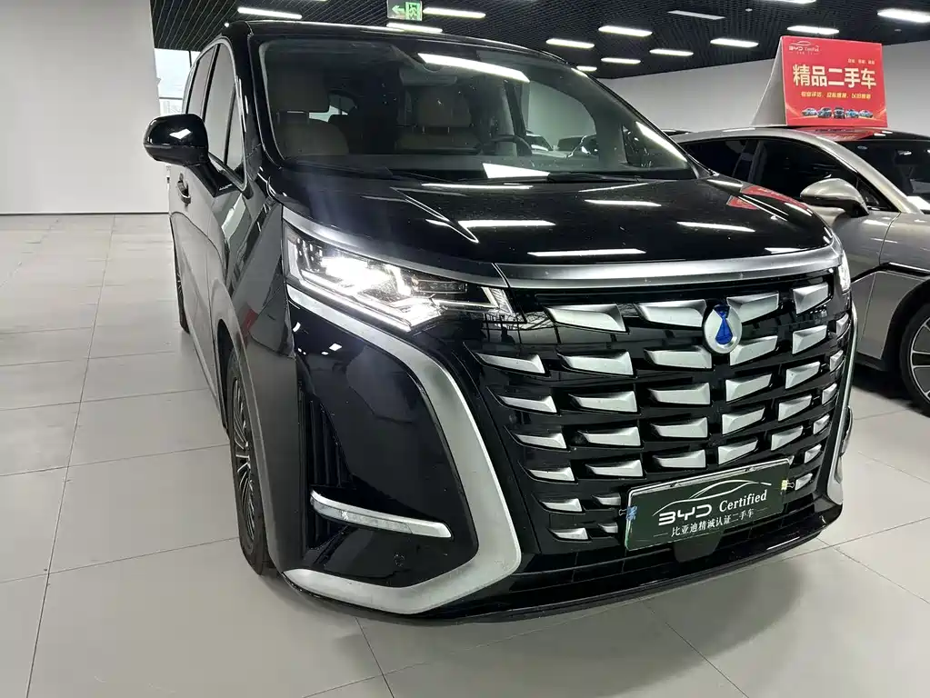 Denza Denza D9 — миниатюра 3
