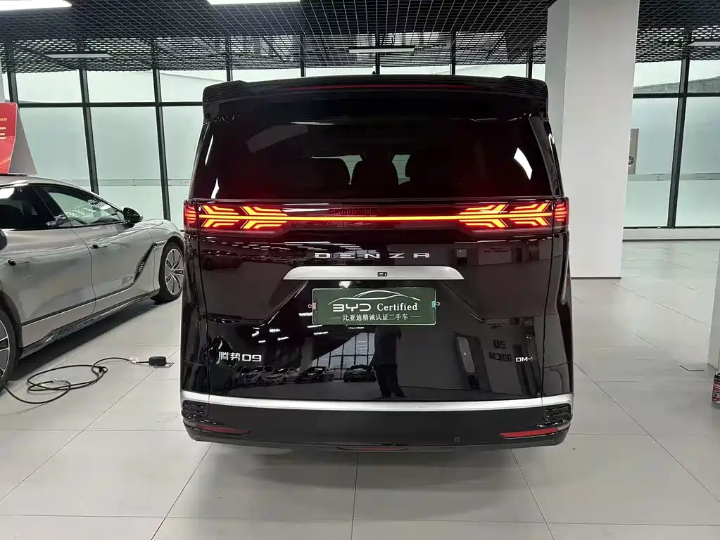 Denza Denza D9 — миниатюра 5