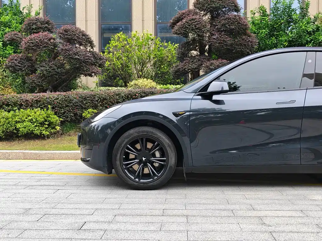 Tesla Model Y — миниатюра 4