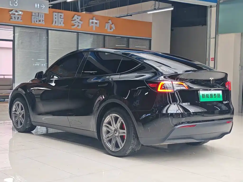 Tesla Model Y — миниатюра 5
