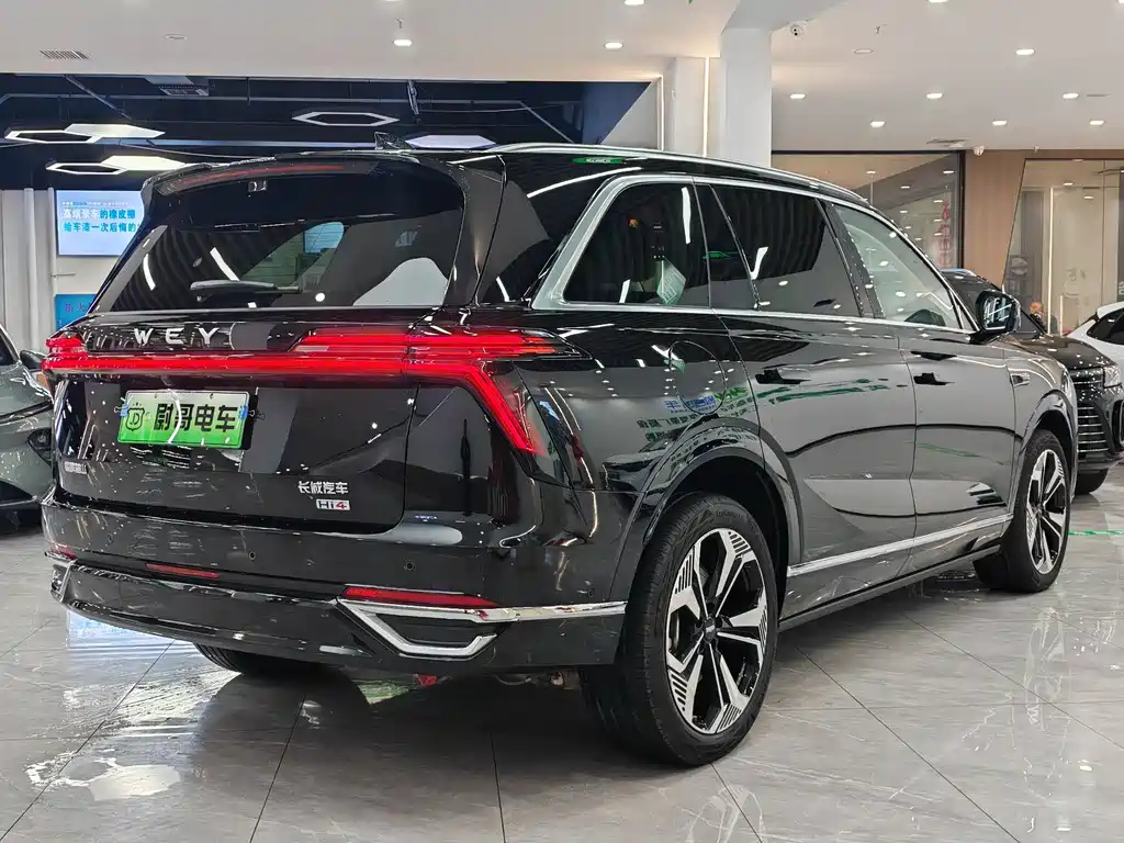 WEI PAI WEI BRAND BLUE MOUNTAIN