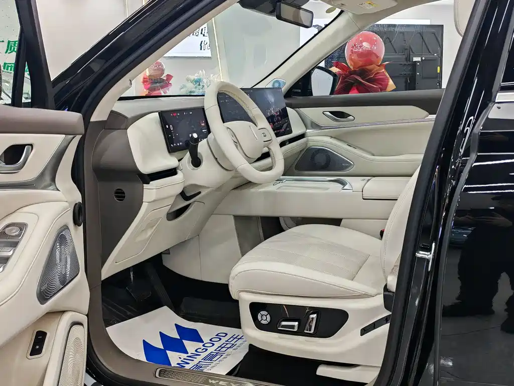 WEI PAI WEI BRAND BLUE MOUNTAIN