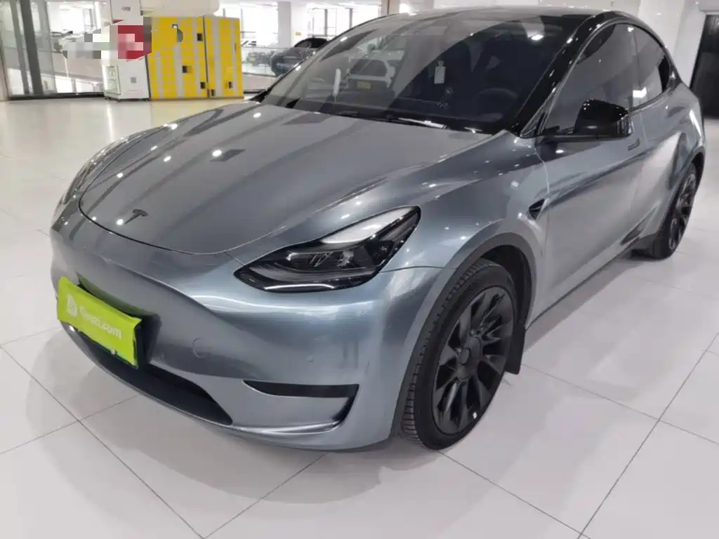 Tesla Model Y — миниатюра 2