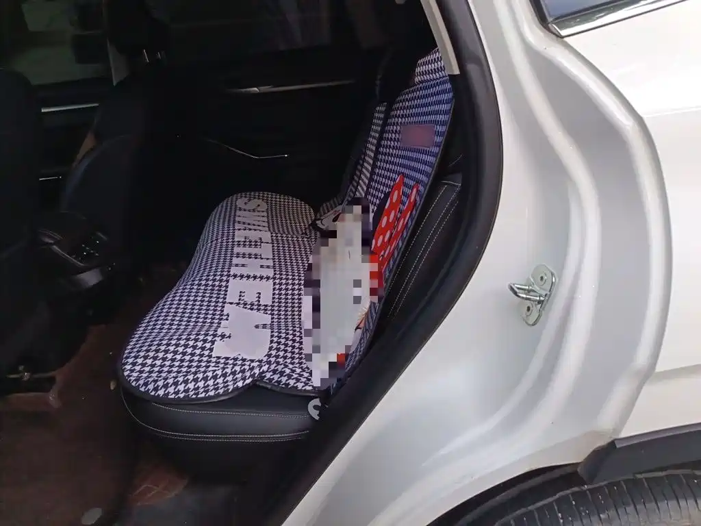 Haval H6 — миниатюра 13