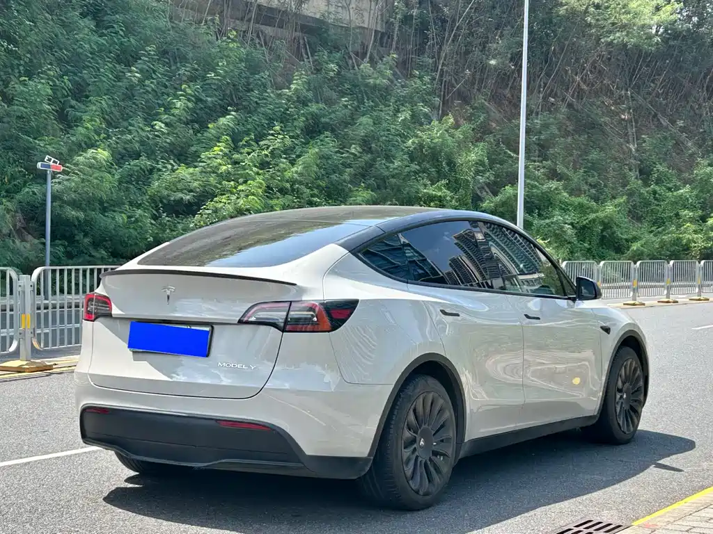 Tesla Model Y — миниатюра 7