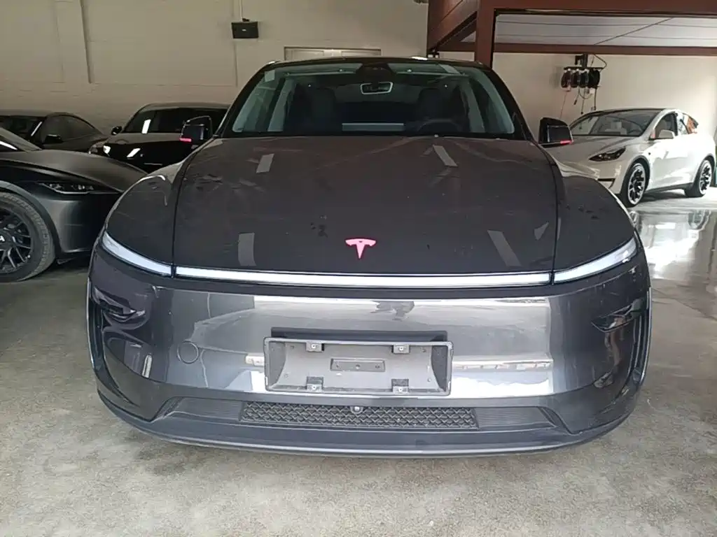Tesla Model Y — миниатюра 3