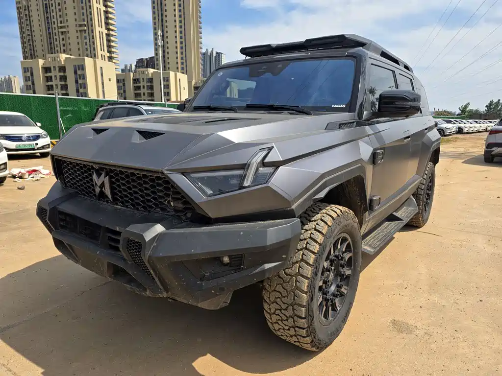 Mengshi Mengshi 917 2024