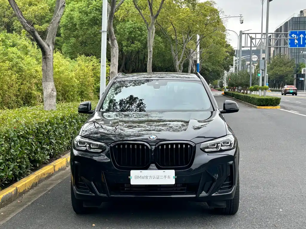 BMW X3 — миниатюра 2