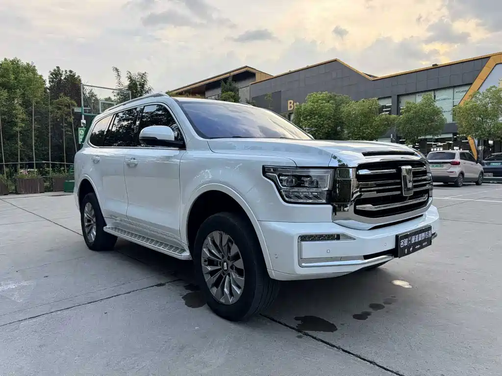 Tank Tank 500 New Energy — миниатюра 3