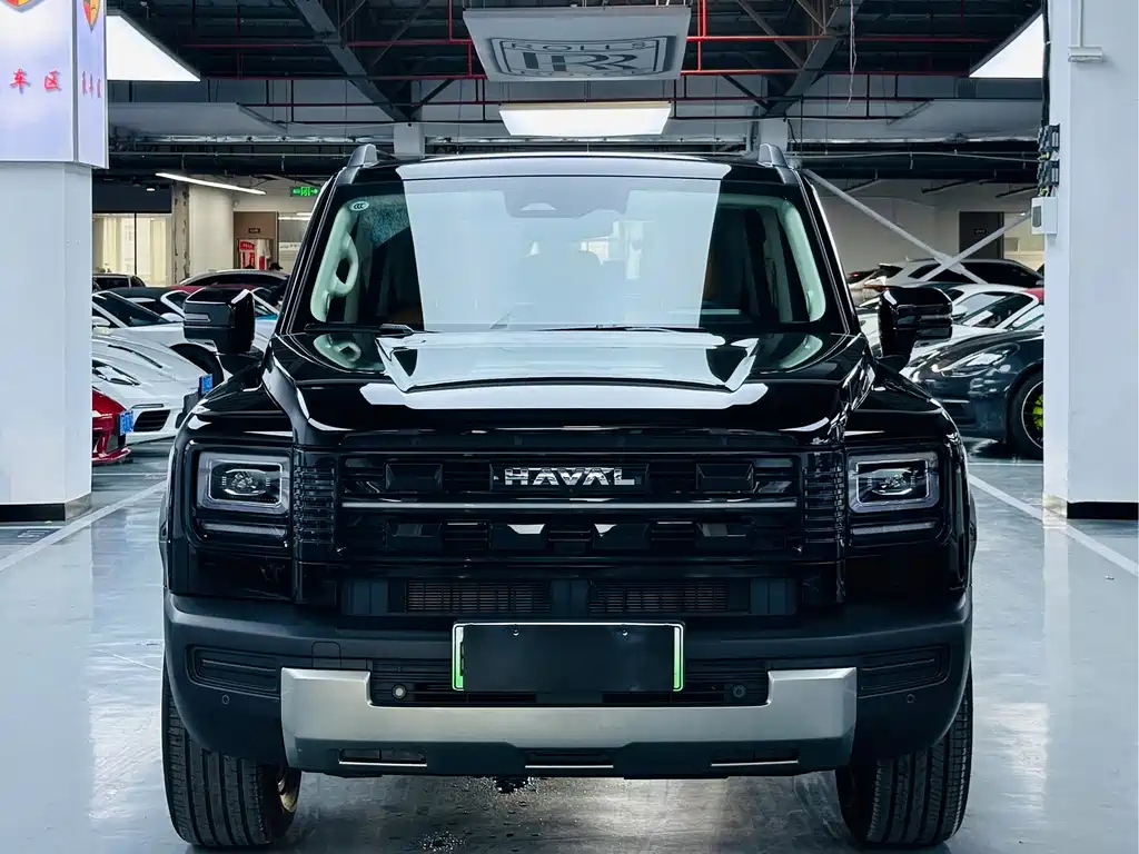 Haval Menglong New Energy — миниатюра 2