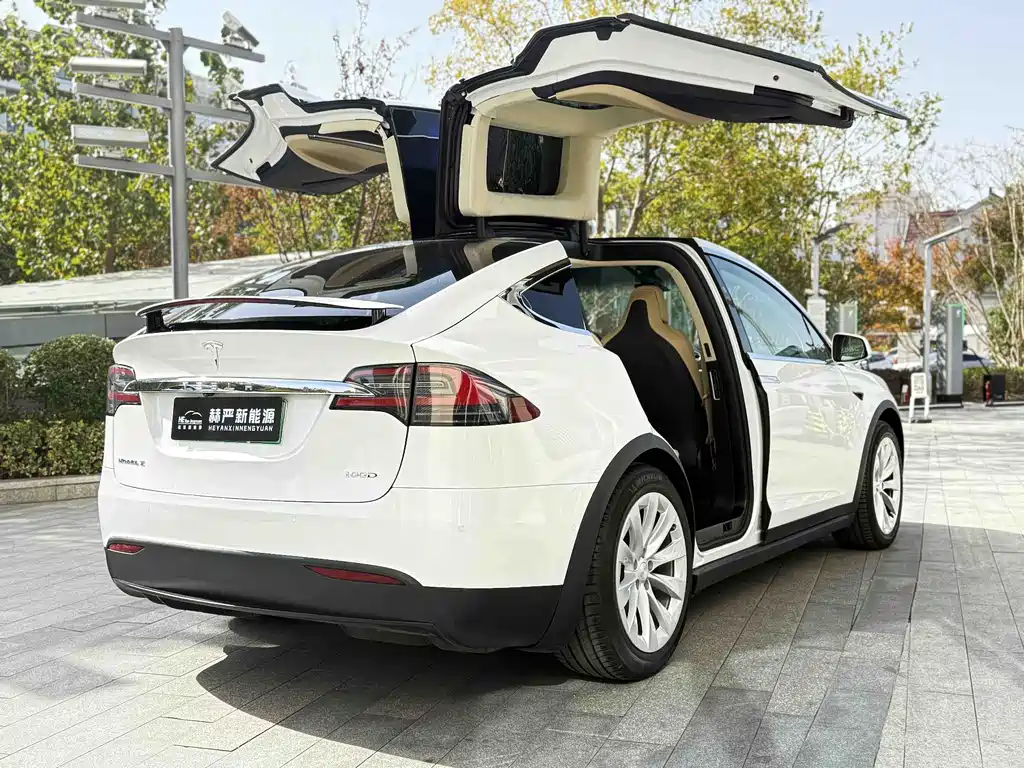 TESLA MODEL X
