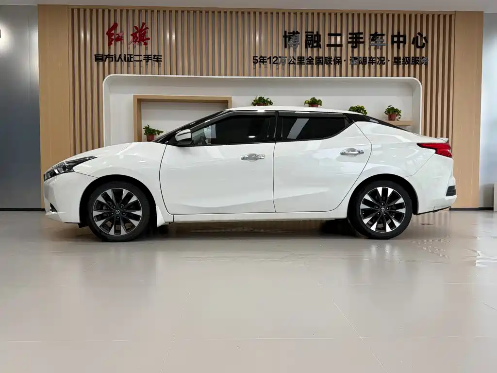 Nissan Bluebird — миниатюра 2