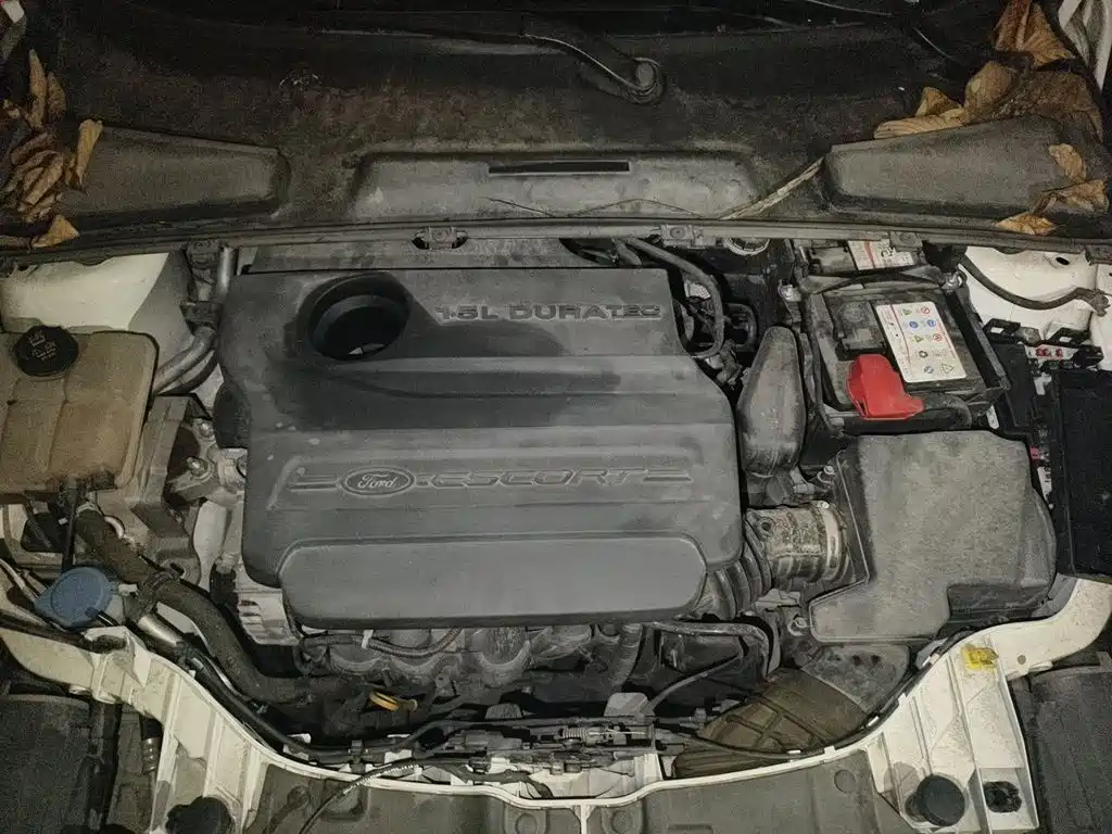 Ford Escort — миниатюра 21