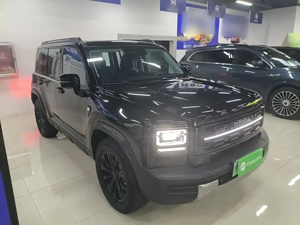 Haval Menglong New Energy — миниатюра 4