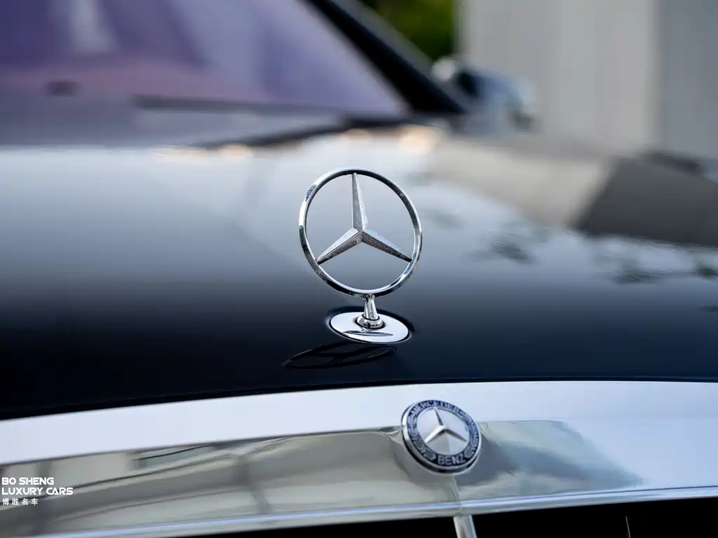 Mercedes-Benz S-Class A MG S AMG 2010 AMG S 65