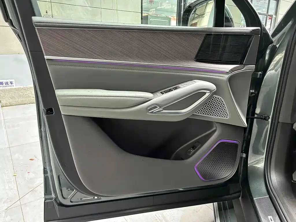 Denza Denza N9 — миниатюра 17
