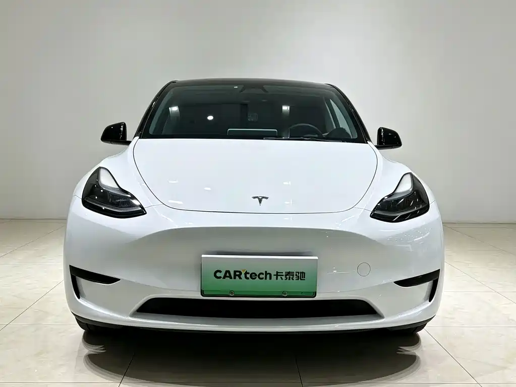 Tesla Model Y — миниатюра 2